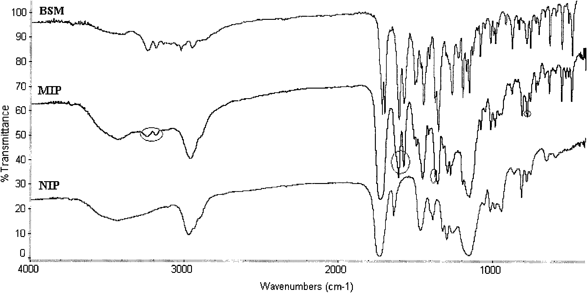 Preparation method of bensulfuron methyl molecularly imprinted polymer and application thereof