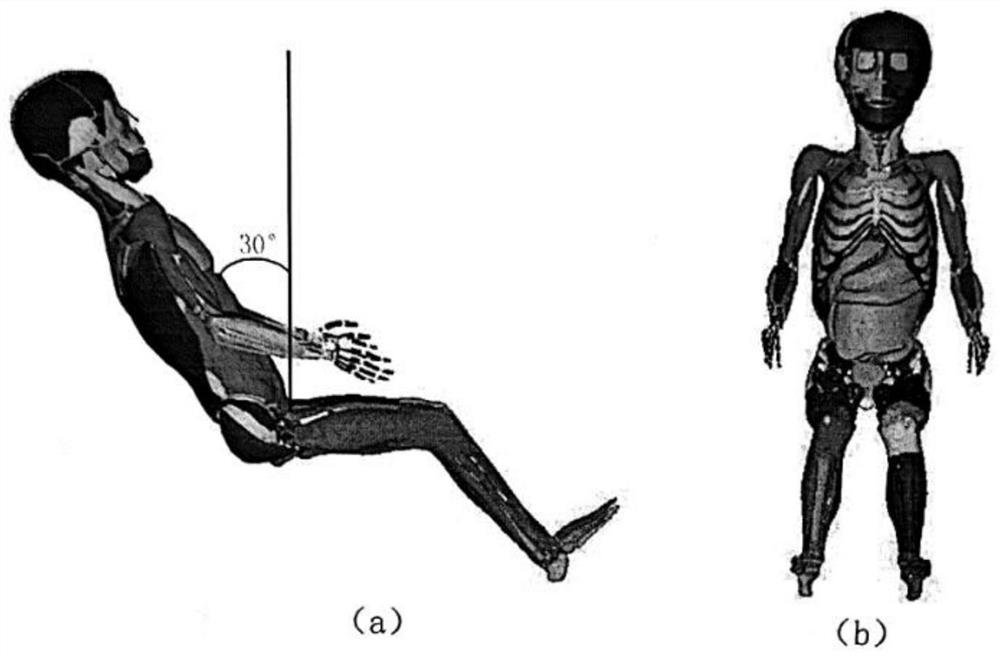 Finite element model of 30-degree trunk angle national sign six-year-old child passenger and construction method and application thereof