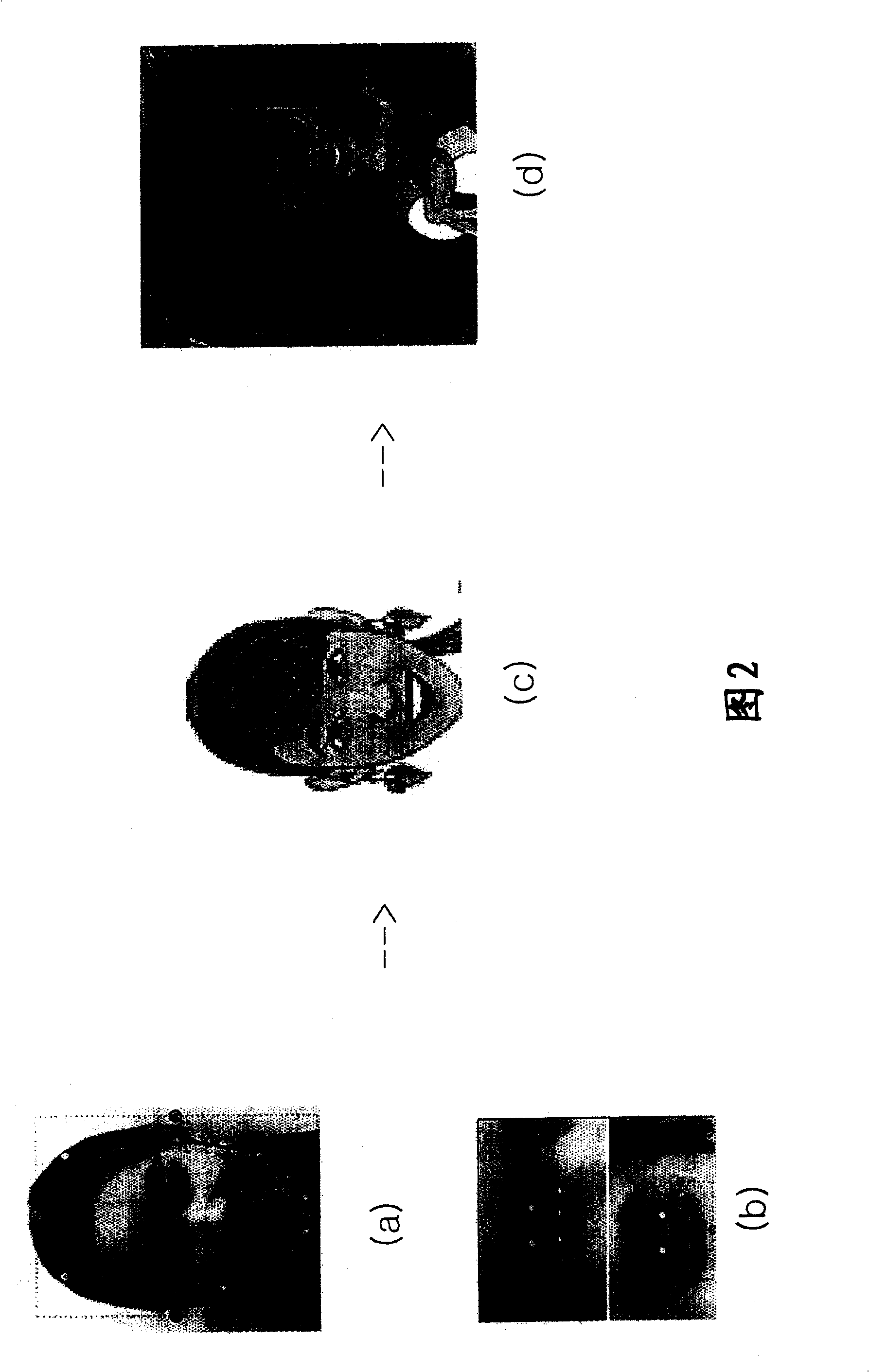 Mobile communication terminal possessing cartoon generating function and cartoon generating method thereof