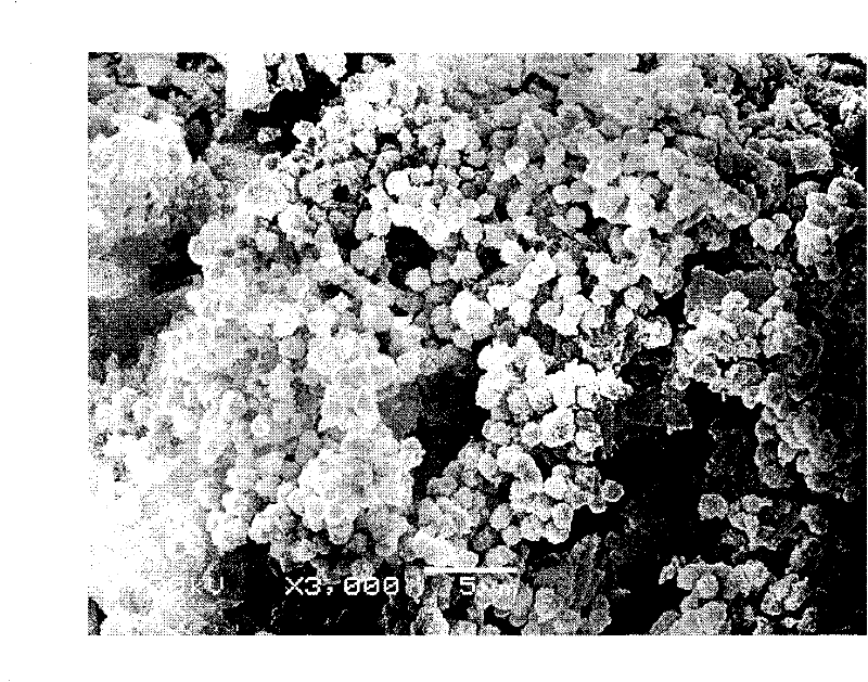 Multi-core adhesive microspheres for loading water soluble low molecular medicament and preparation method thereof