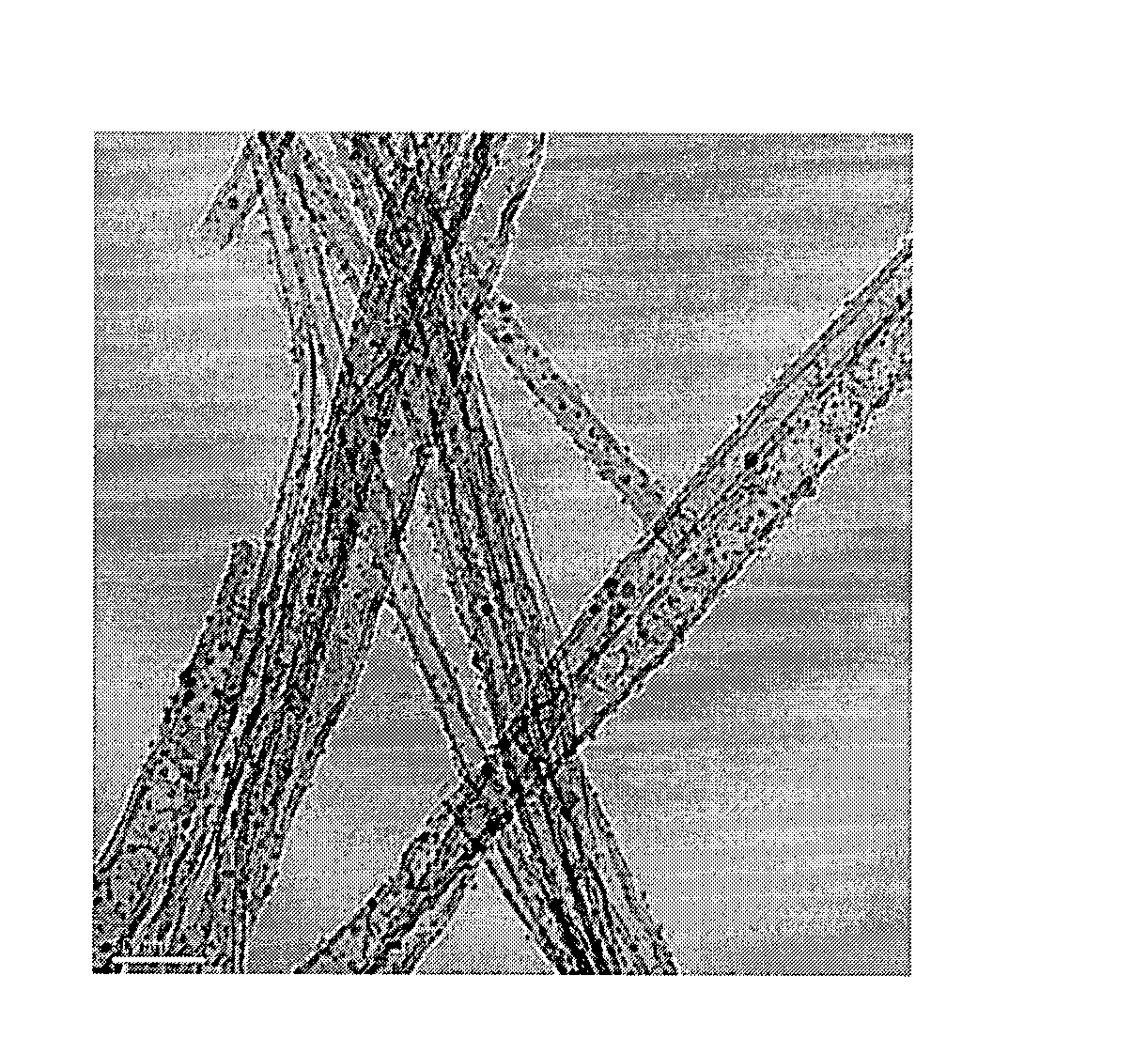 Nitrogen-mediated manufacturing method of transition metal-carbon nanotube hybrid materials