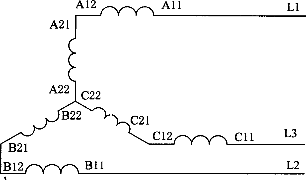 Electric motor winding with pole and power variable combination