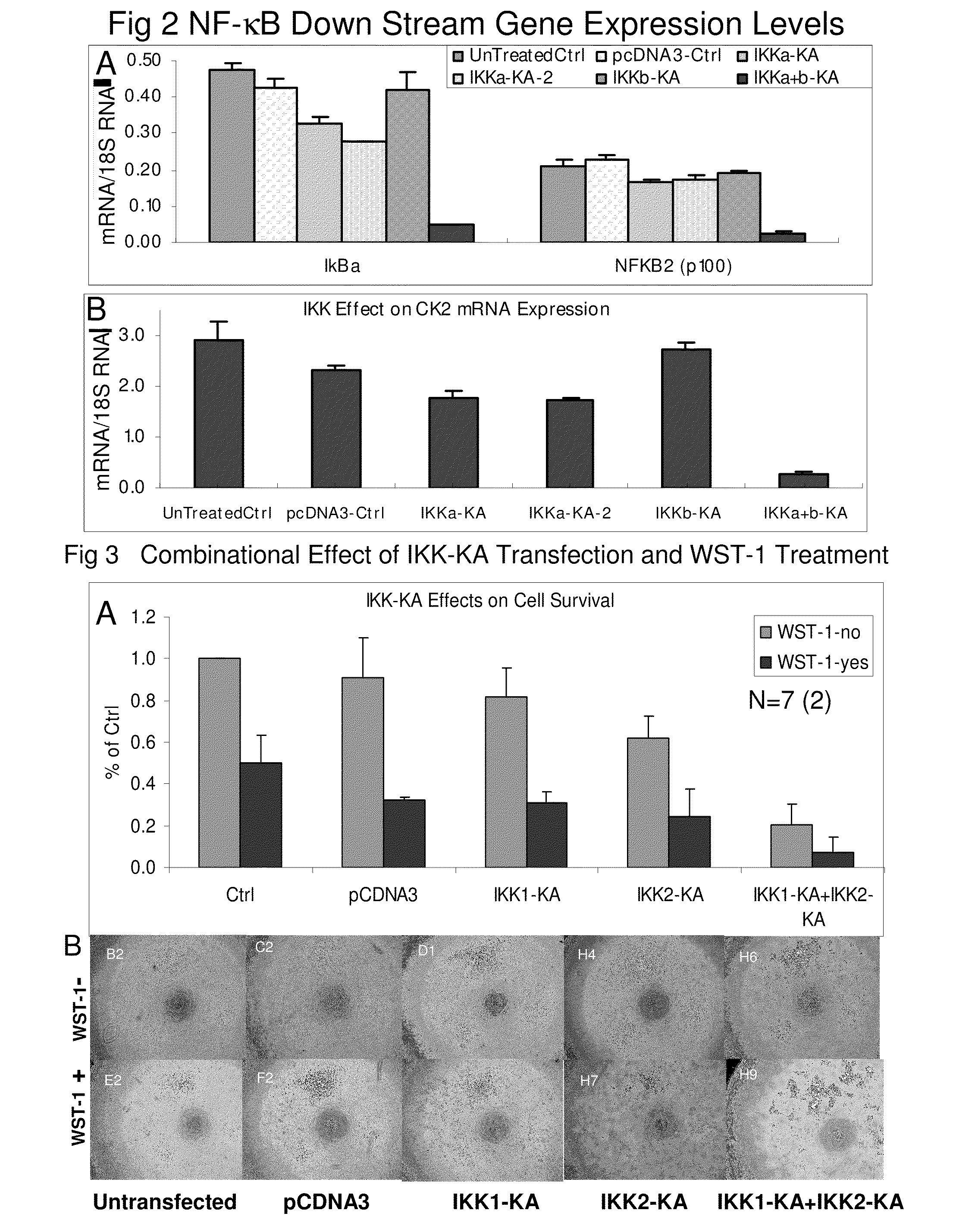 Compounds, composition, methods, targets for cancer therapy