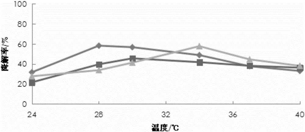 Preparation method and application of co-immobilization mycelium pellets with function of removing various pollutants