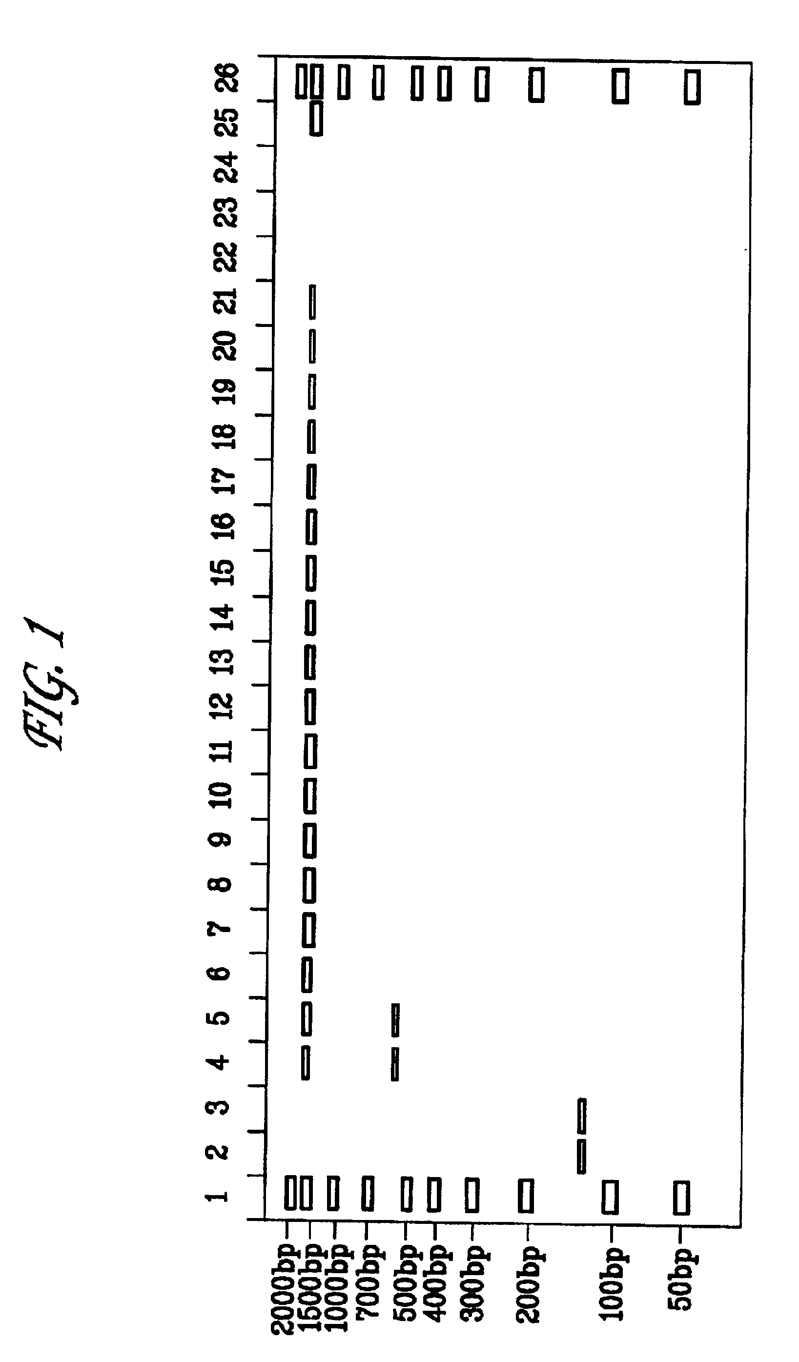 Method of reducing non-specific amplification in PCR