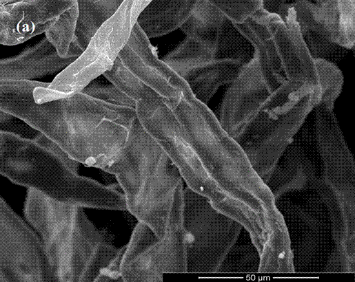 Preparation method of PET non-woven fabric with photocatalytic degradation function