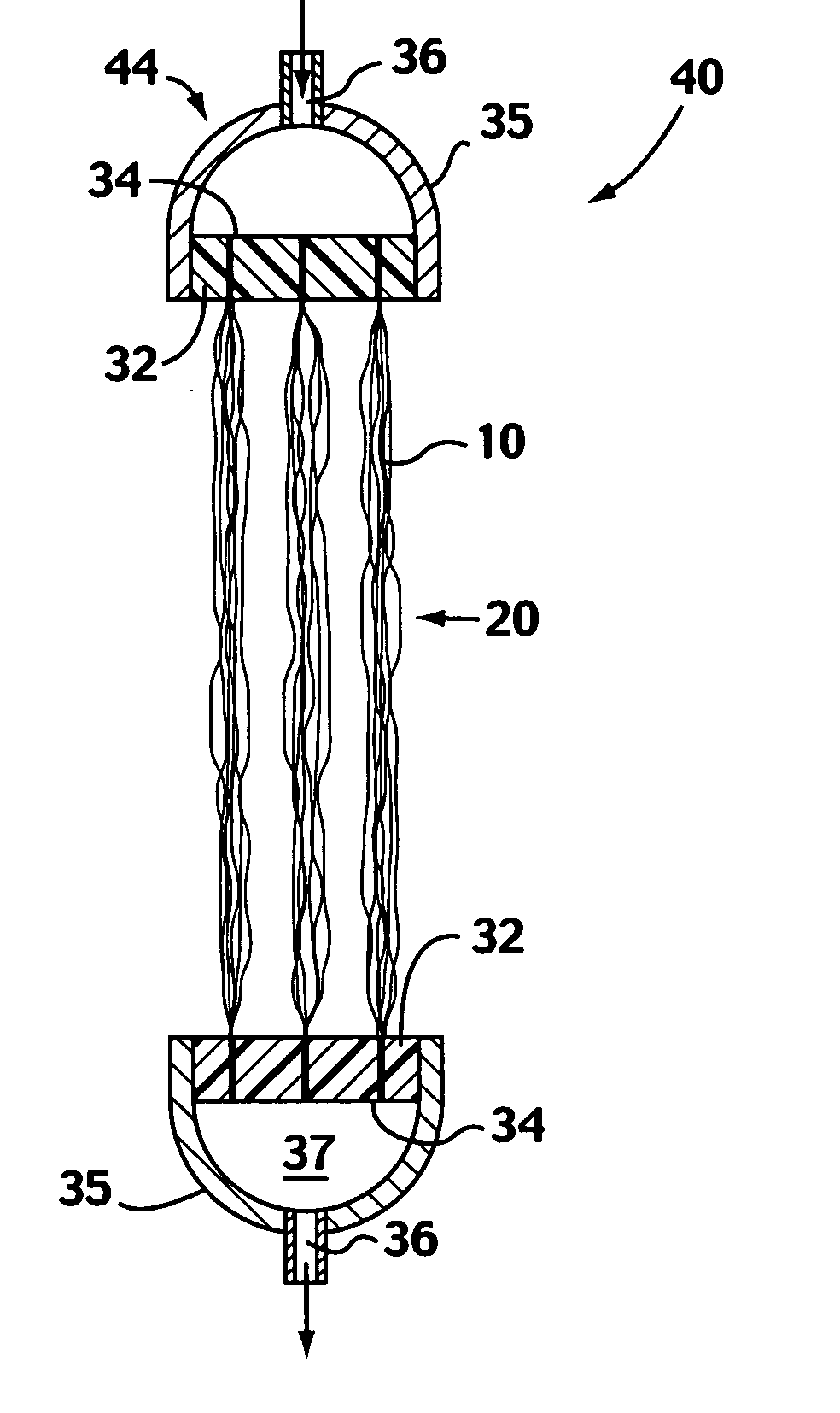 Supported biofilm apparatus and process