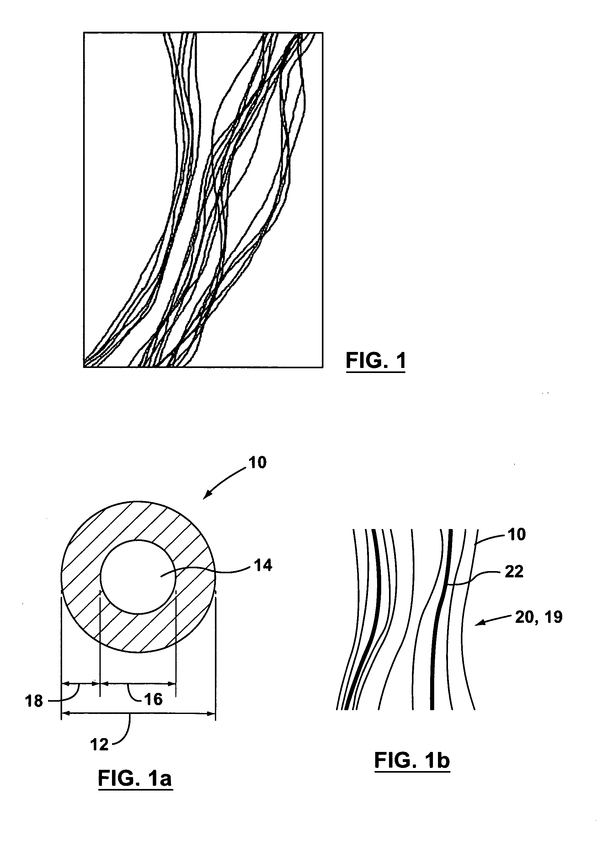 Supported biofilm apparatus and process