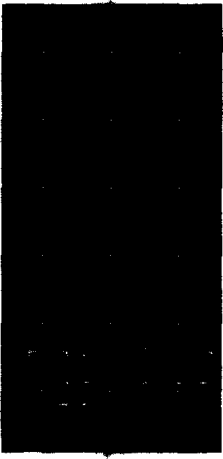 Method for constituting TLC finger-print pyrogram of hypericum-japonicum medicinal herbs and its standard finger-print pyrogram