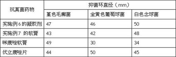 Chinese and western anti-fungal liposome and preparation method thereof