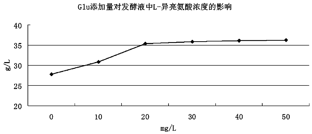 Production and extraction technology of L-isoleucine