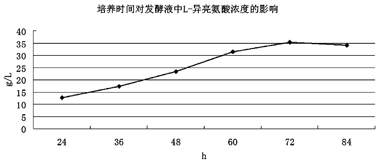 Production and extraction technology of L-isoleucine