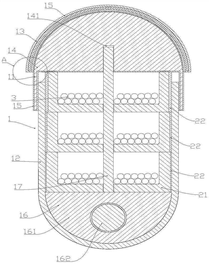 Ganu capsule and preparation method thereof