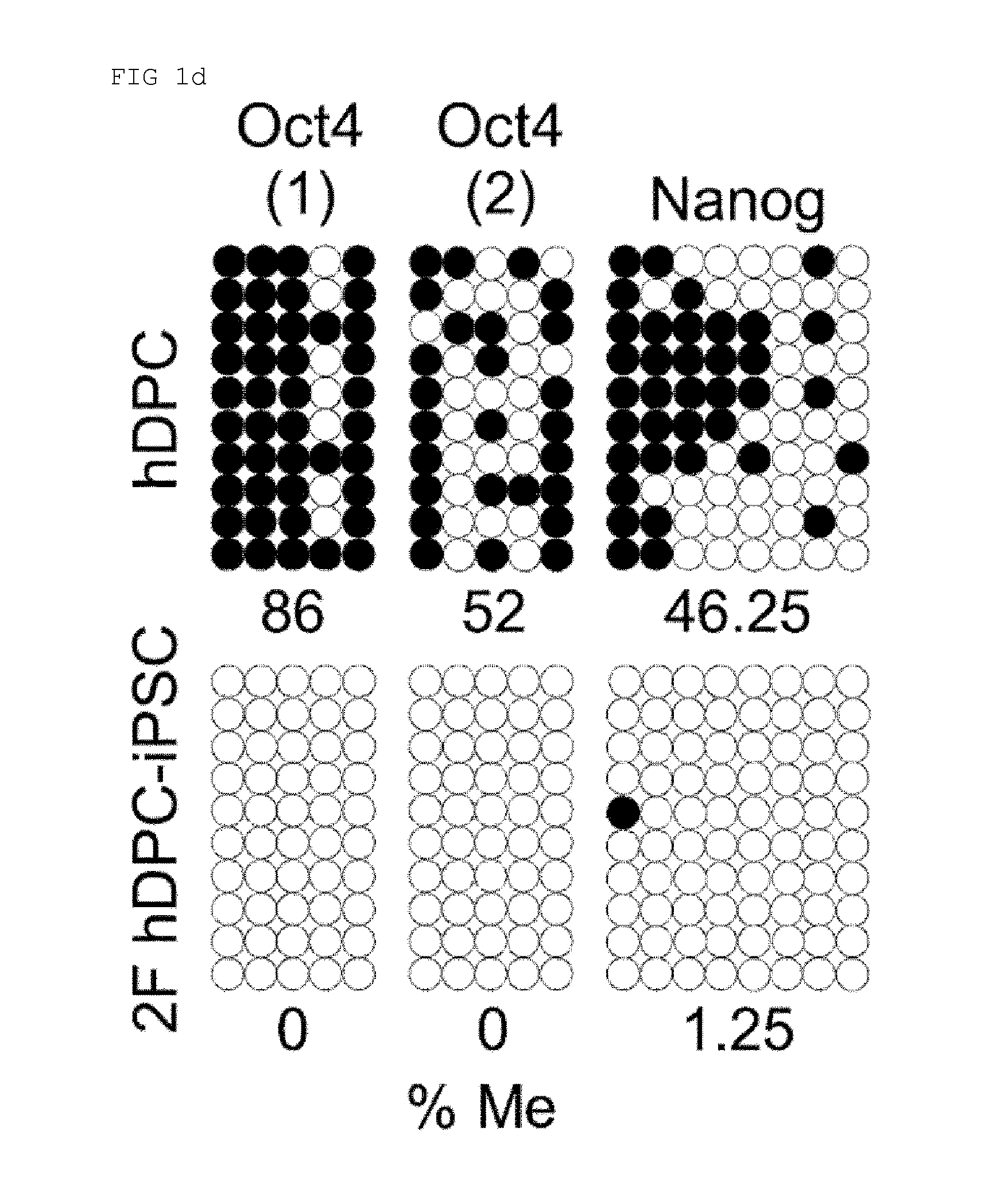 Method for reprogramming of human dental pulp cell using oct4 and sox2 and use thereof