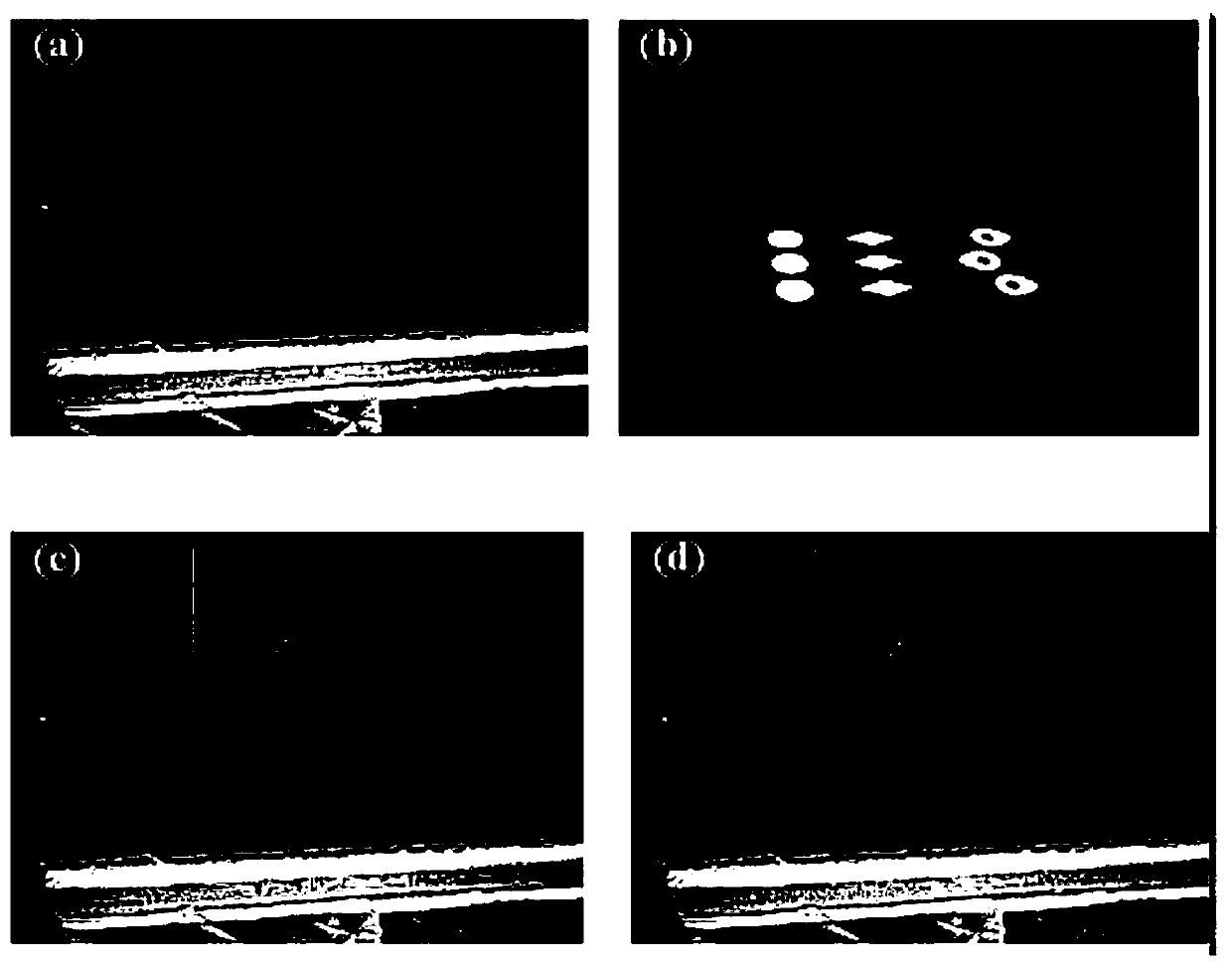 On-line detection method of contour accuracy of forming layer in selective laser melting process