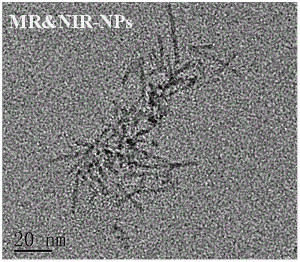 Preparation and application of magnetic resonance and near-infrared fluorescence targeted nanoprobes