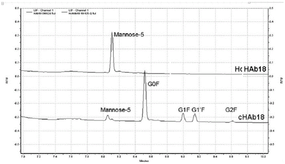 Humanized modified anti-CD147 chimeric antibody hchab18 and its application