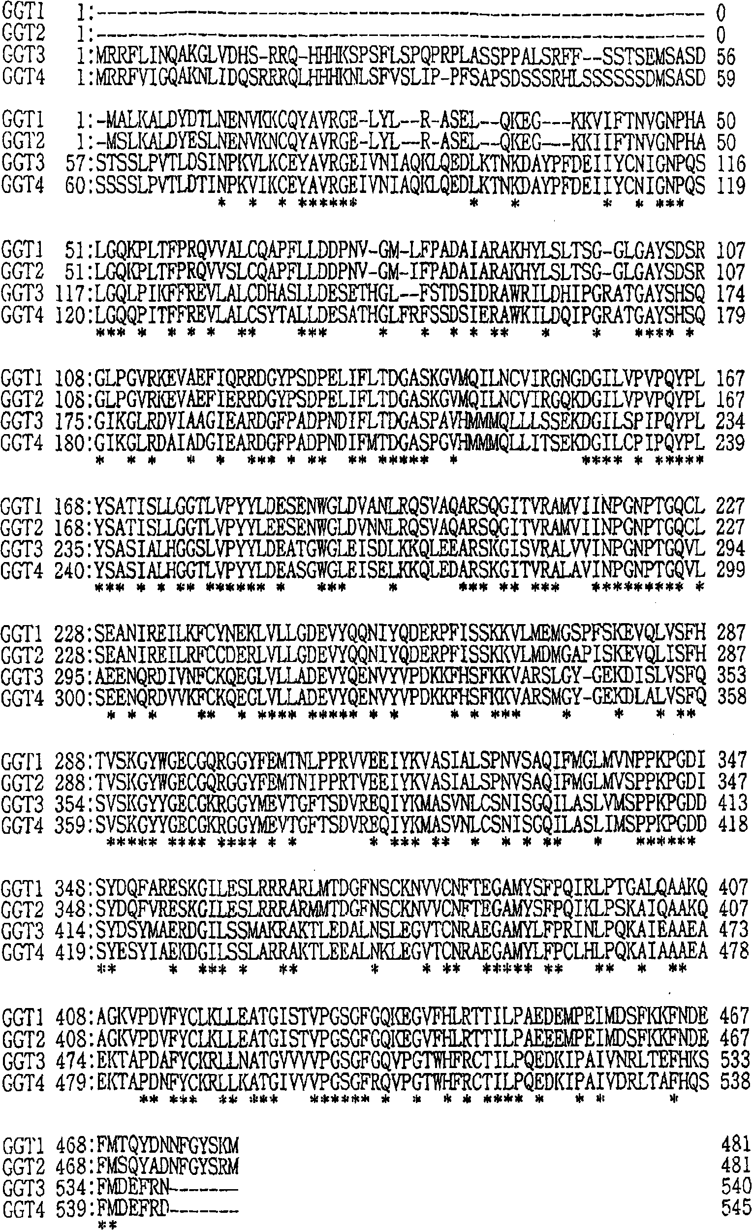 Method of elevating GGT activity of plant, plant with elevated GGT activity and method of constructing the same