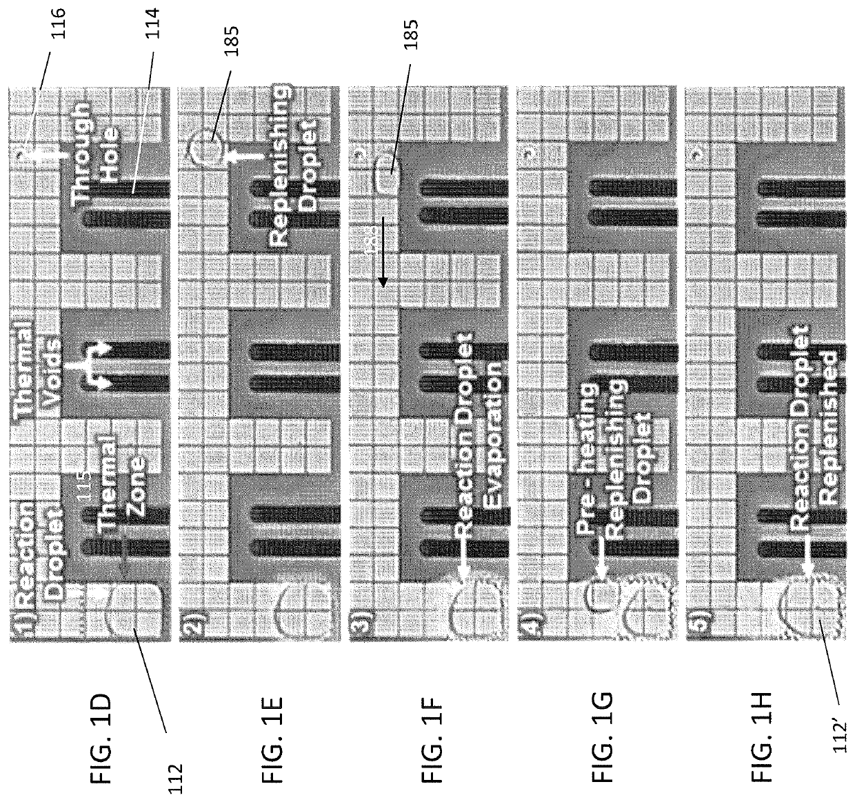 Evaporation management in digital microfluidic devices