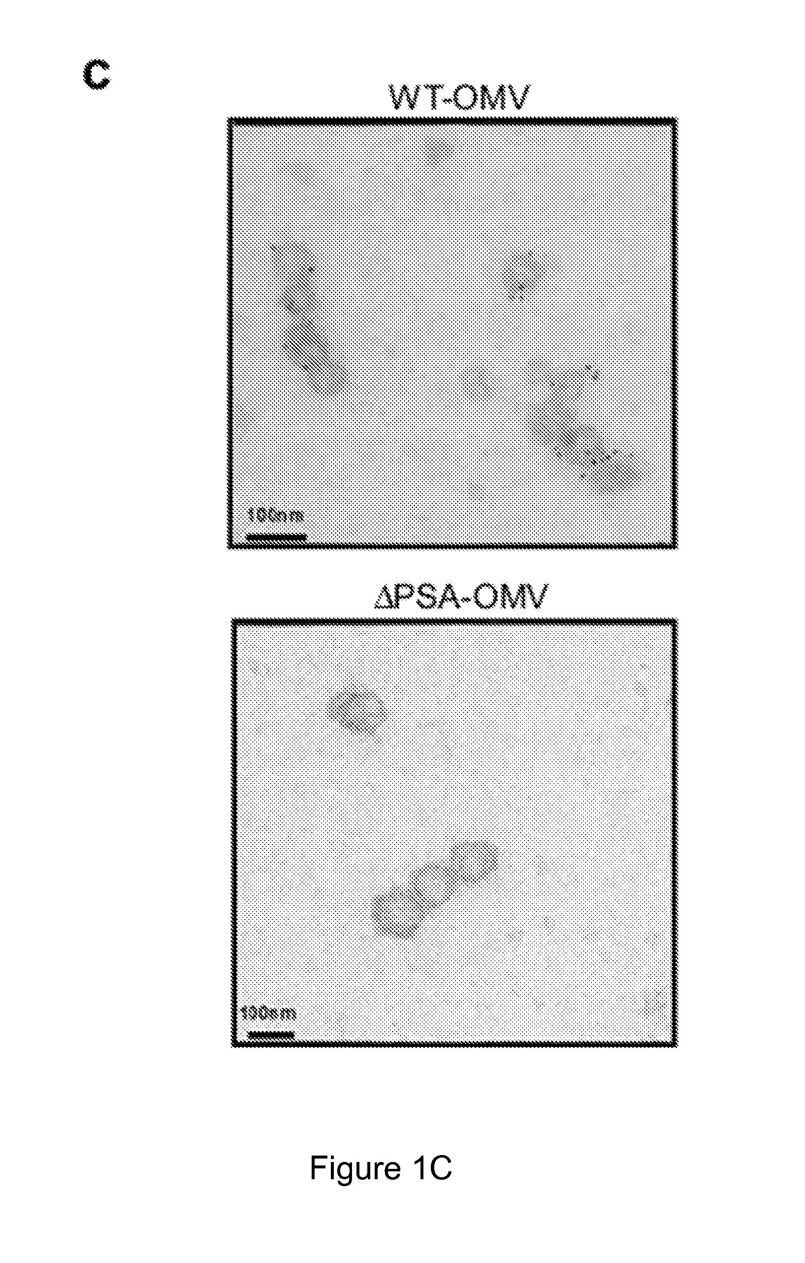 Vehicle for delivering a compound to a mucous membrane and related compositions, methods and systems