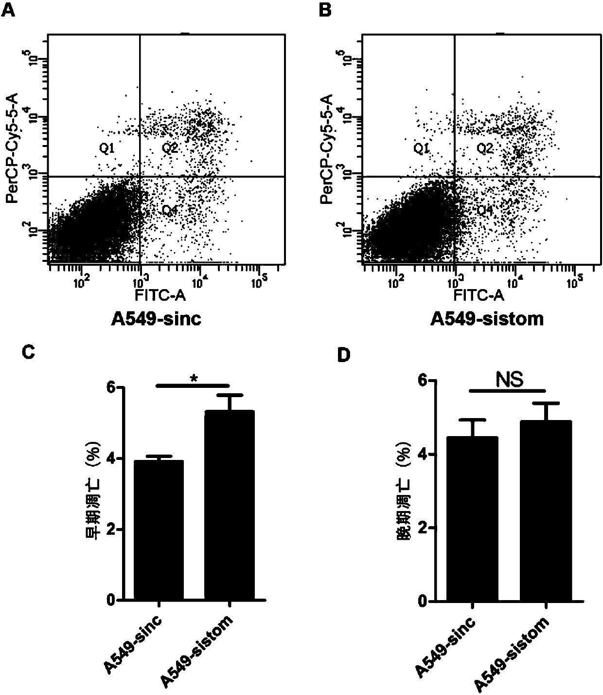 Application of stomatin protein and its coding gene in diagnosis and treatment of lung cancer