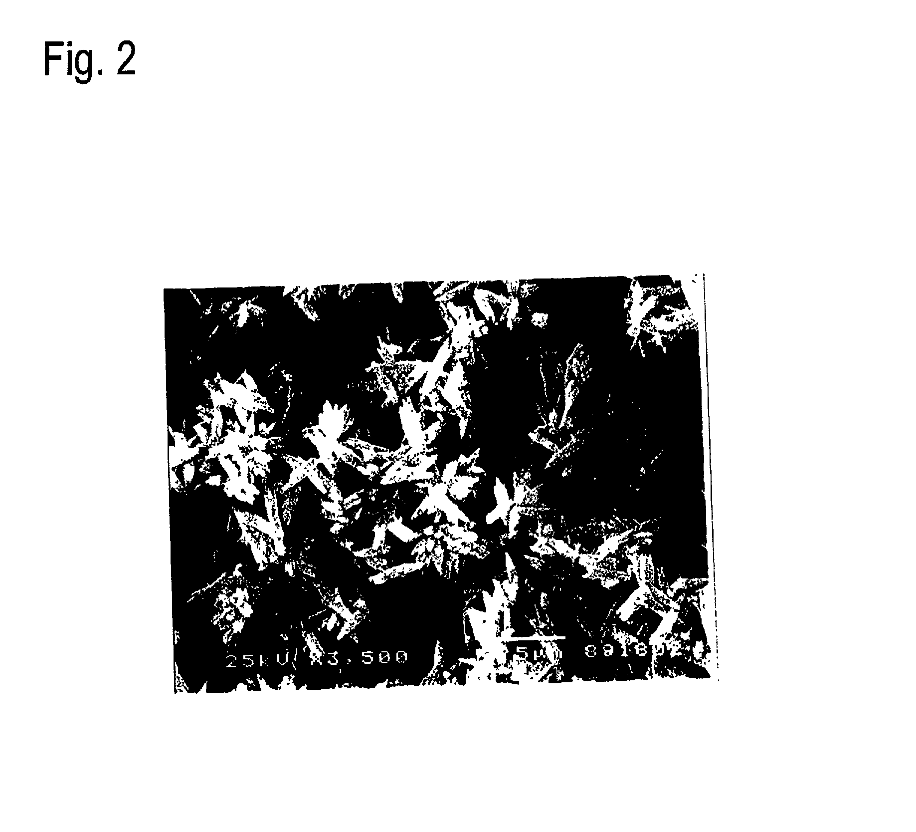 Process for preparing calcium carbonate