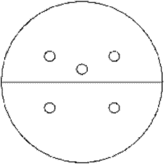 Multicore-fiber-based optical motor and micropump