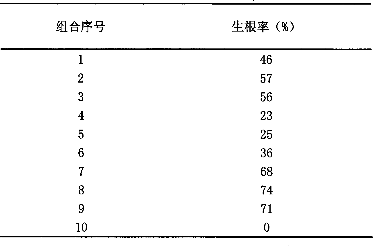 Rapid propagation method of huperzia serrata