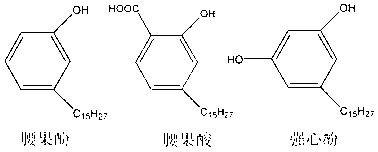 Cashew nut shell oil modified phenolic resin as well as preparation method and application thereof