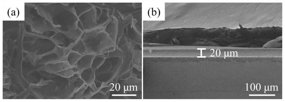 Hydrogel system for trapping and targeted release of circulating tumor cells