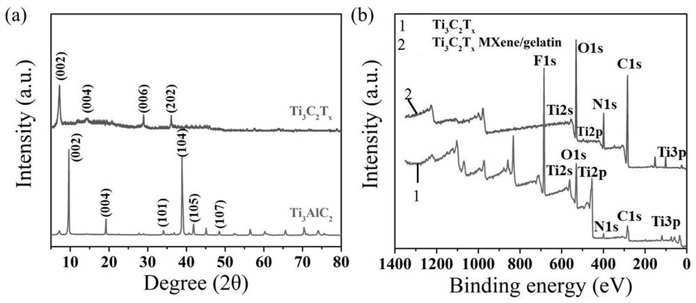 Hydrogel system for trapping and targeted release of circulating tumor cells