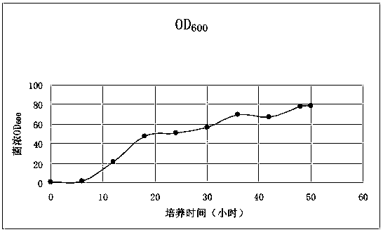 Compound microbial agent solid particle product for environment protection and preparation method thereof