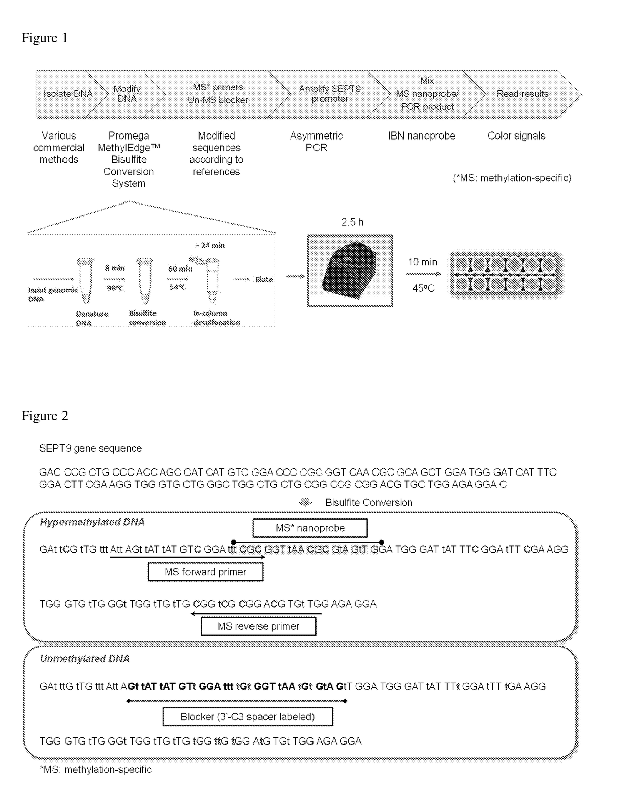 Determination of nucleic acid methylation