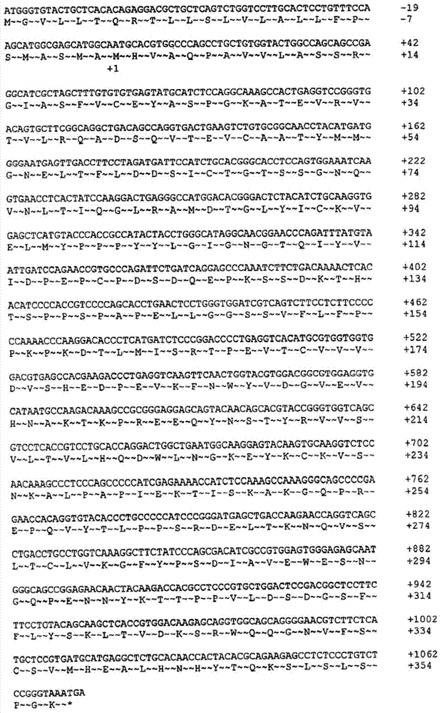 Stable CTLA4Ig protein preparation