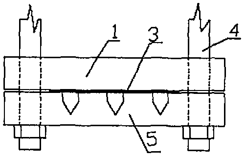 Carbon fiber cloth anchorage device