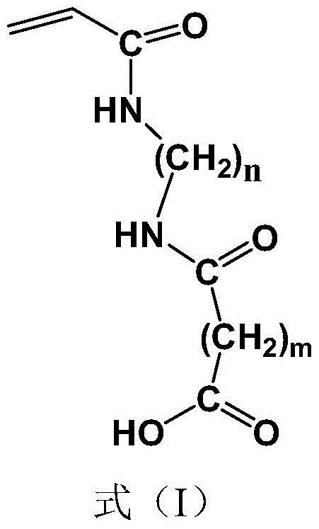 A kind of n-terminal amino group polyether-based acrylamide monomer and preparation method thereof