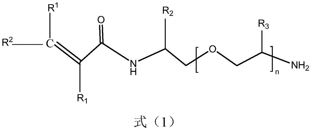 A kind of n-terminal amino group polyether-based acrylamide monomer and preparation method thereof