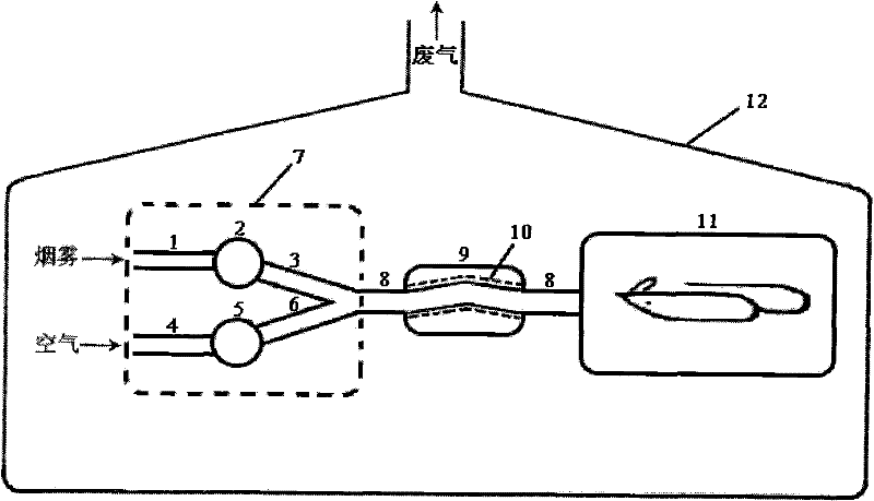 Smoke exposure device used for establishing chronic obstructive pulmonary disease model