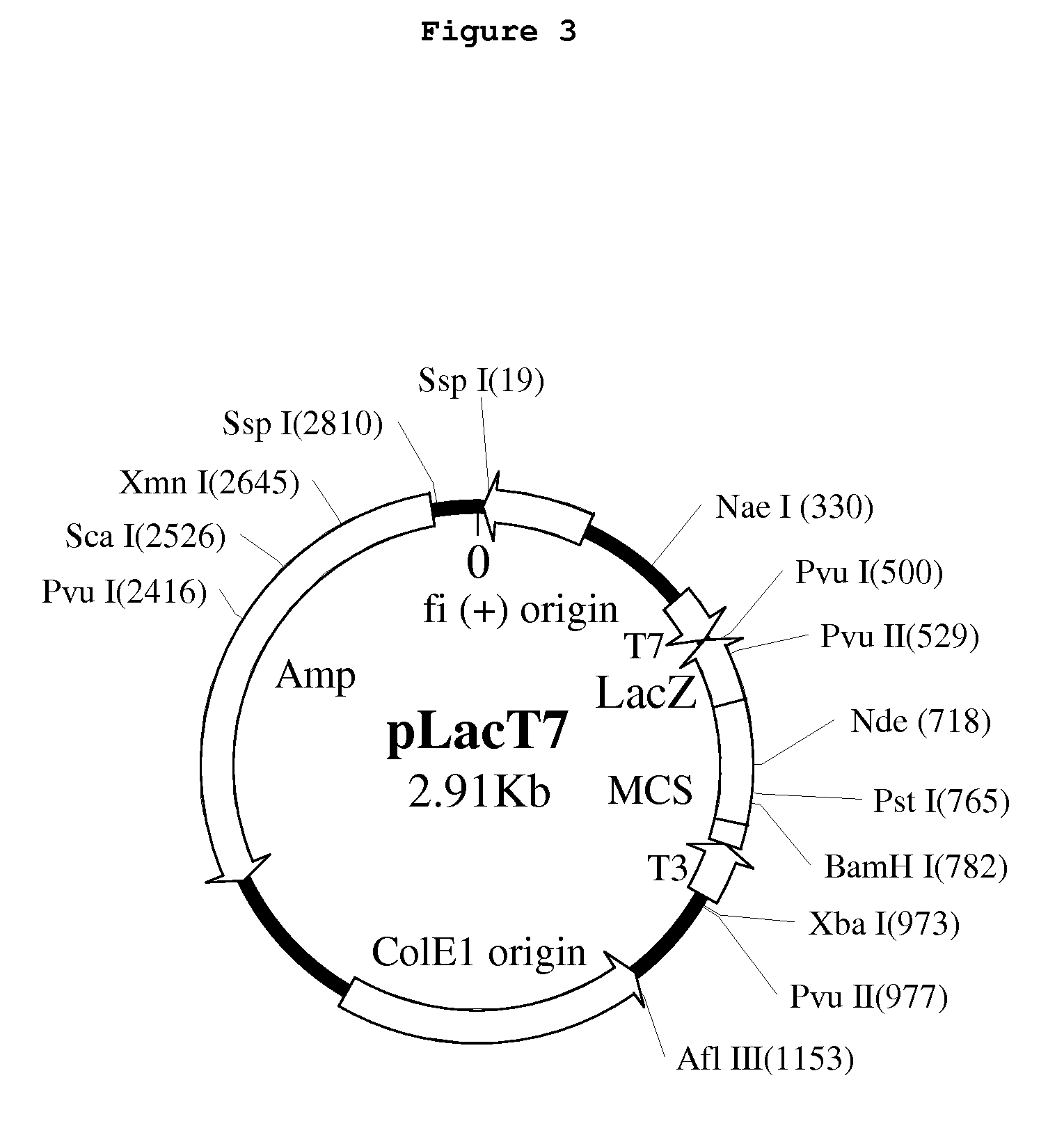 Uses of interferons with altered spatial structure