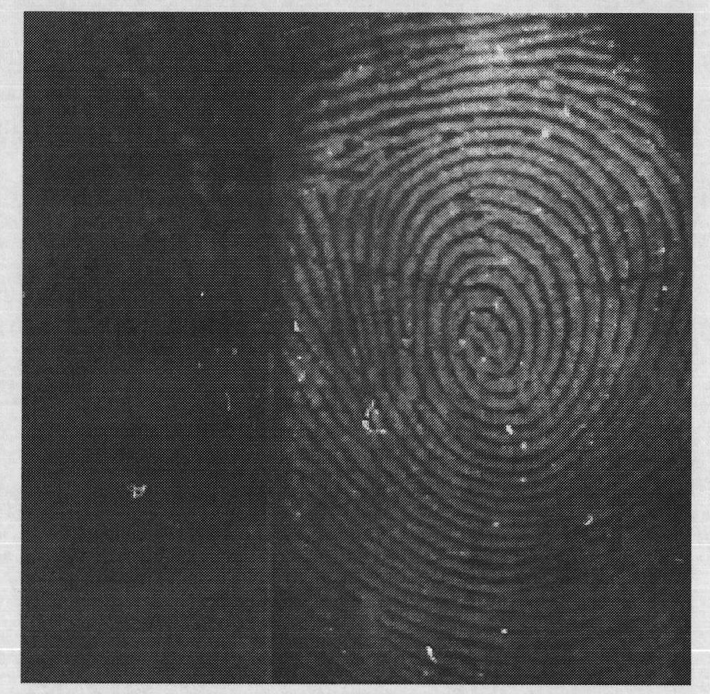 Preparation method of water-based compound rare earth nano La1-x-yCexTbyPO4 fluorescent particle for fingerprint manifestation