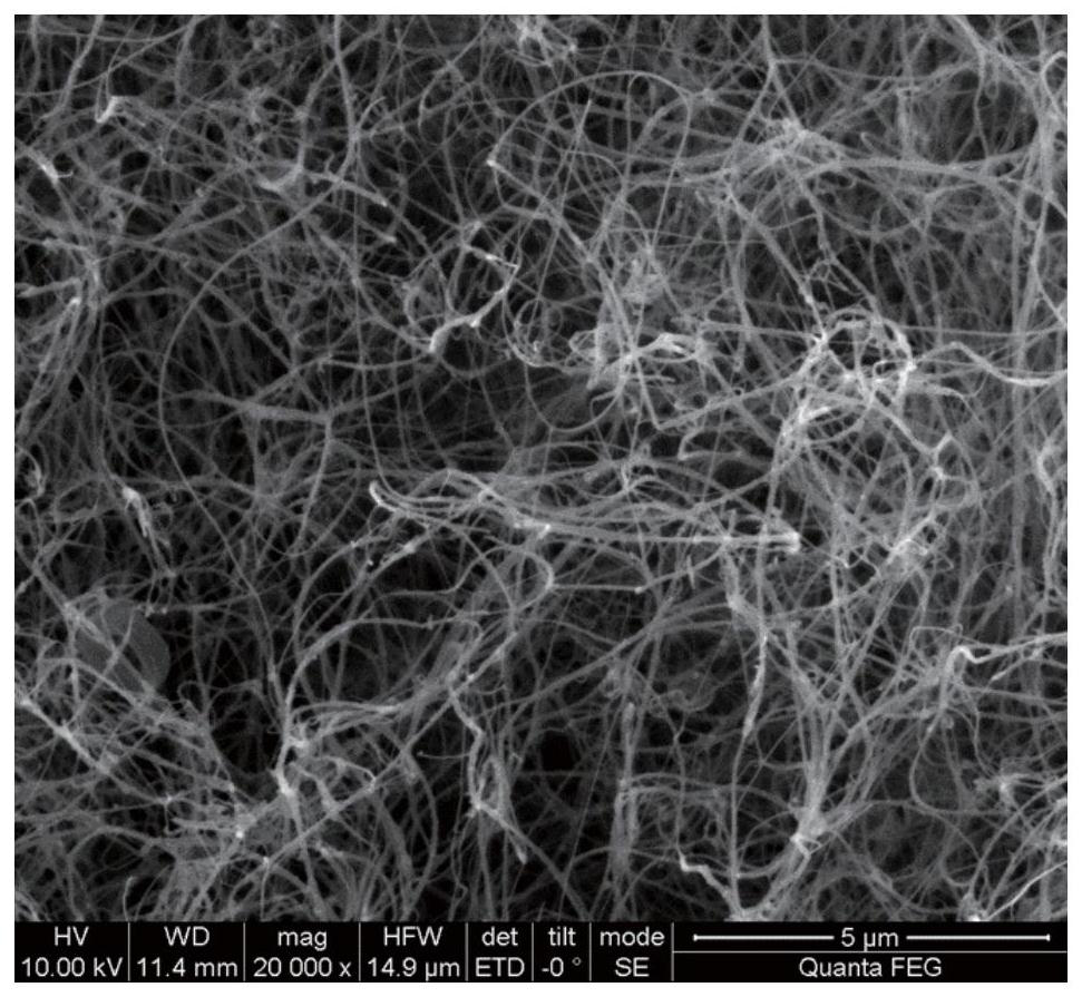 Shear thickening fluid/carbon nanotube foam shock-resistant energy-absorbing material, preparation method and application