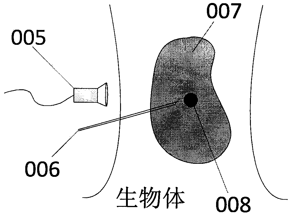 Needle biopsy method based on photoacoustic imaging technique