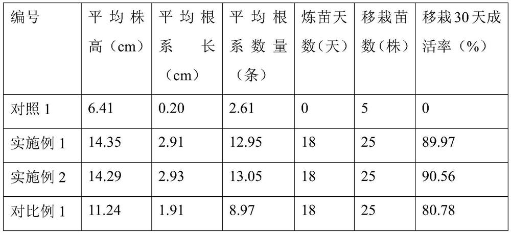 Water culture seedling hardening method and device of beautiful millettia root tissue culture seedlings