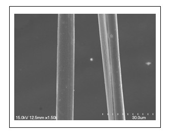 Sweetcane bark fiber and preparation method thereof