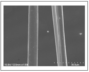 Sweetcane bark fiber and preparation method thereof