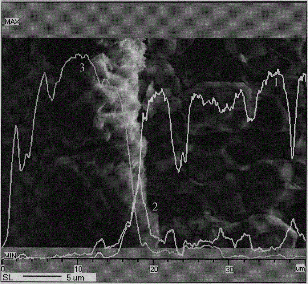 Vacuum evaporation coating method and rare earth magnet covered with evaporation coating