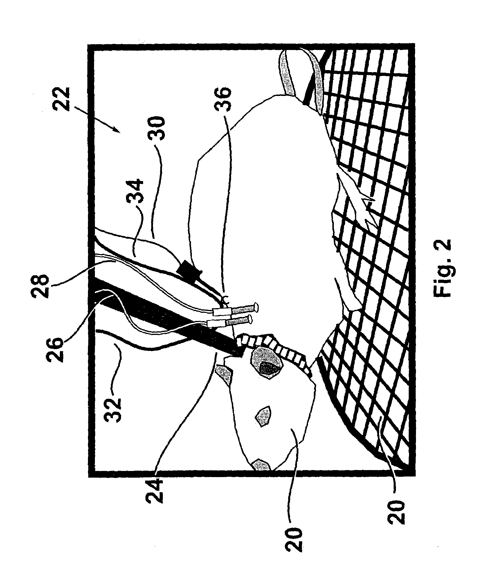 Device and method for electrocardiography on freely moving animals