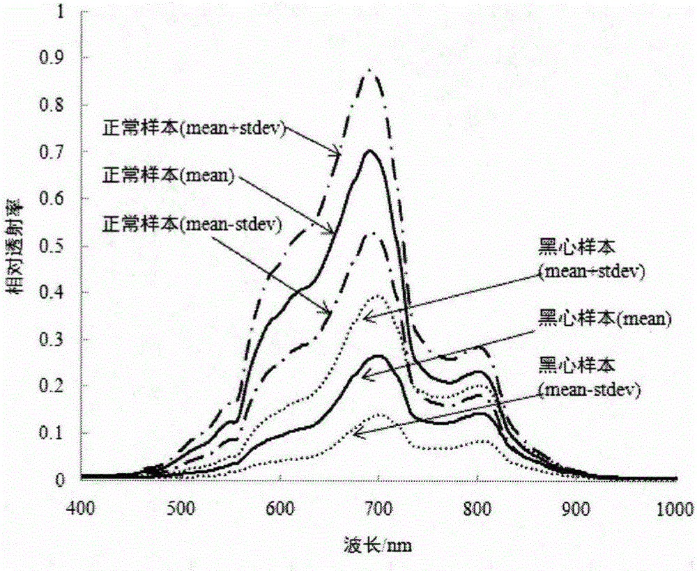 Method for detecting black core of white radish based on hyperspectral image