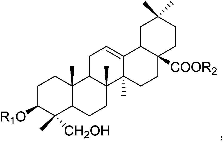 Application of hederagenin and glucoside thereof to preparation of medicine for treating osteoporosis