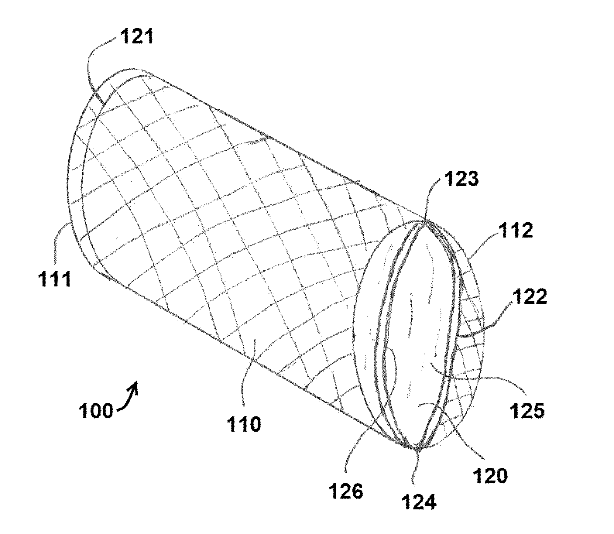 Systems and methods utilizing expandable transcatheter valve